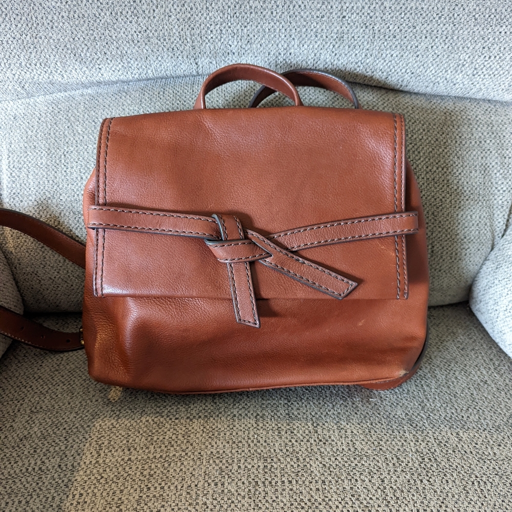 Fossil Willow crossbody